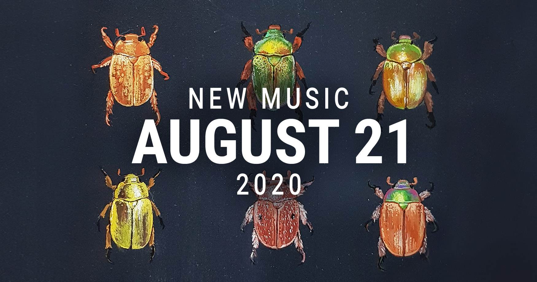 New Music Banner