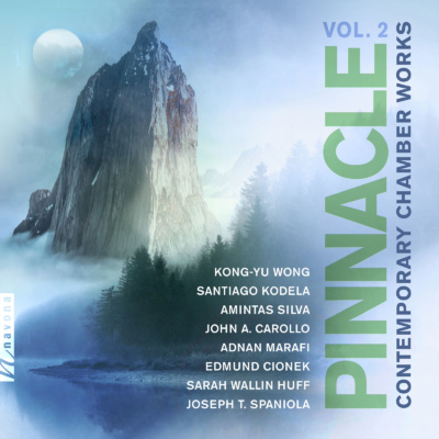 PINNACLE VOL. 2 - album cover