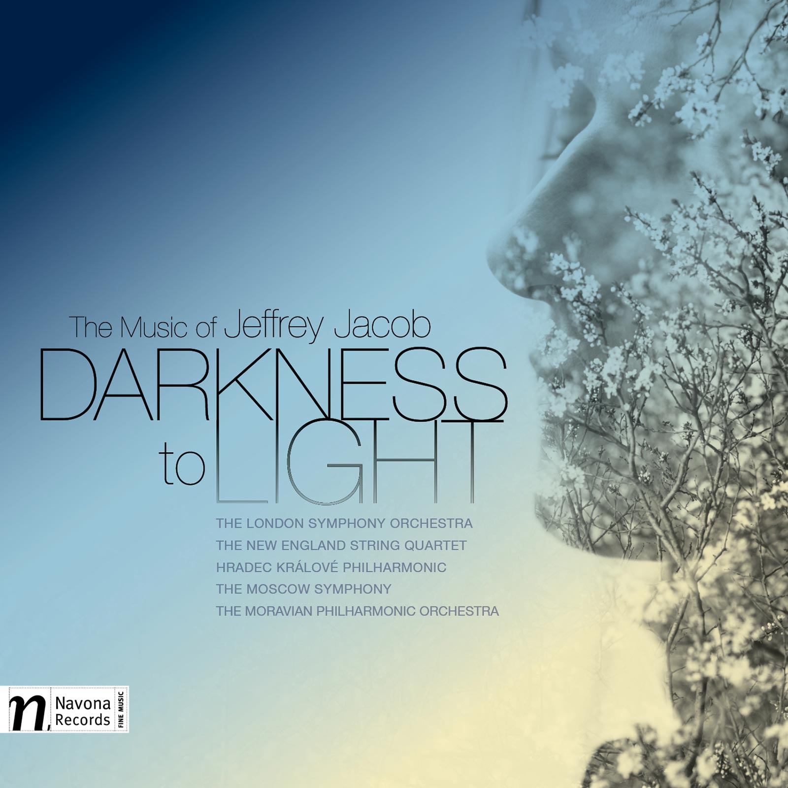 Darkness to Light - album cover