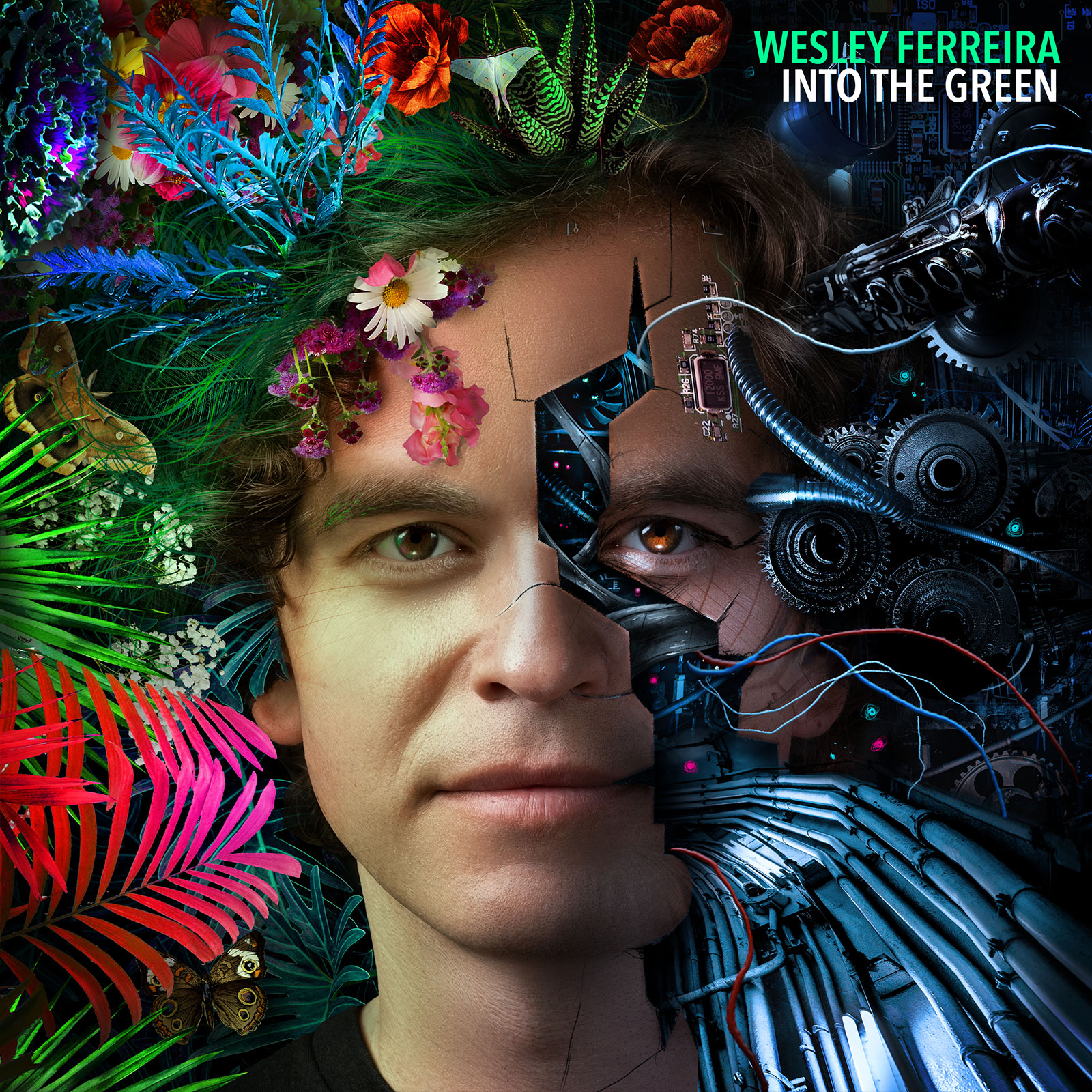 INTO THE GREEN - album cover