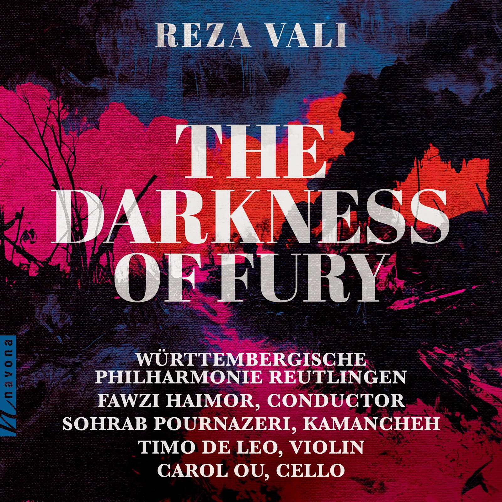 THE DARKNESS OF FURY