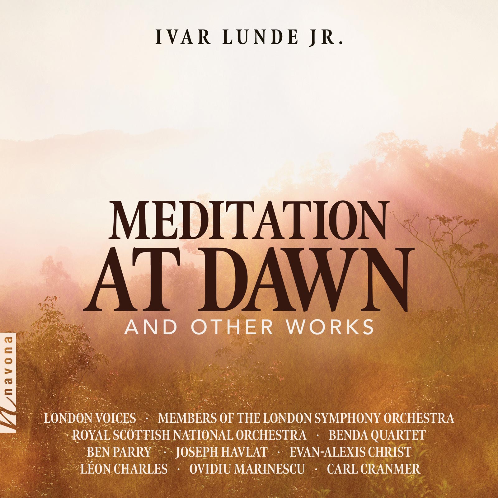 MEDITATION AT DAWN